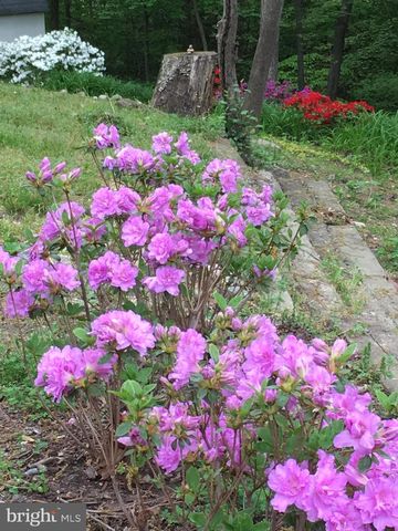 29910 RICHARD CIR, Mechanicsville, MD 20659