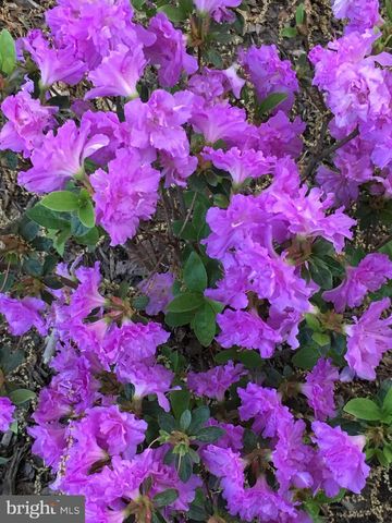 29910 RICHARD CIR, Mechanicsville, MD 20659