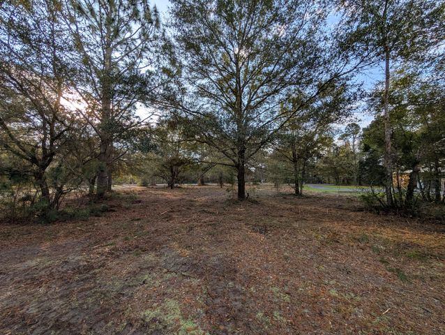 1020 Pinckney Street, Mcclellanville, SC 29458