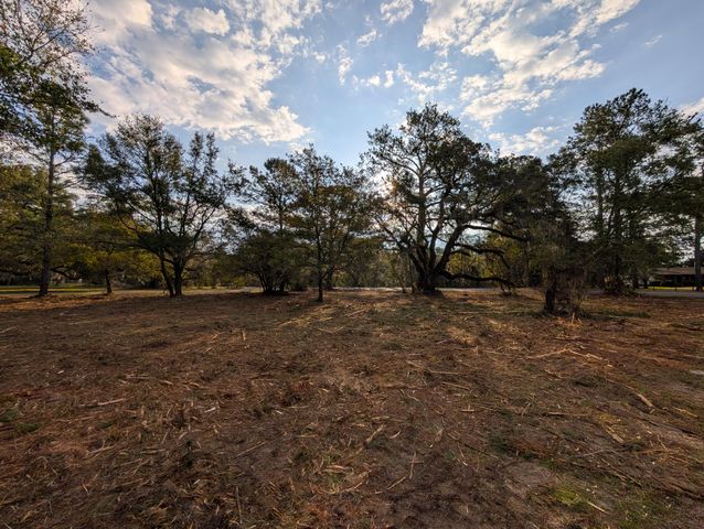 1020 Pinckney Street, Mcclellanville, SC 29458