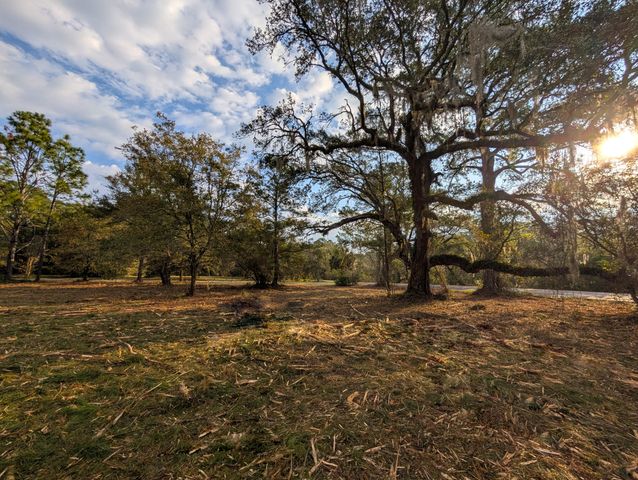 1020 Pinckney Street, Mcclellanville, SC 29458
