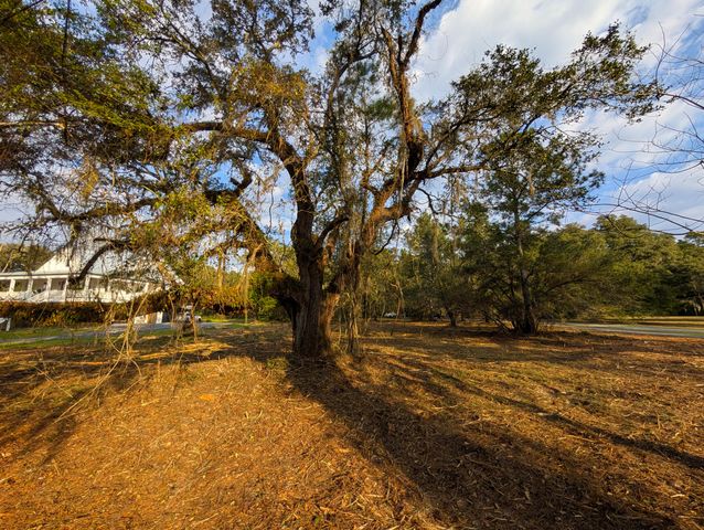 1020 Pinckney Street, Mcclellanville, SC 29458