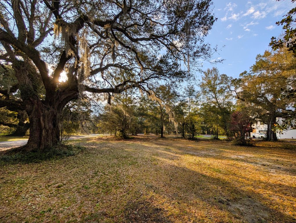 1020 Pinckney Street, Mcclellanville, SC 29458