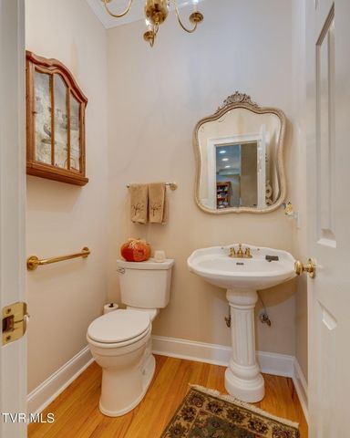 9 Dove Tree Lane, Jonesborough, TN 37659