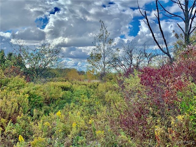 11733 North Road, Freedom, NY 14065