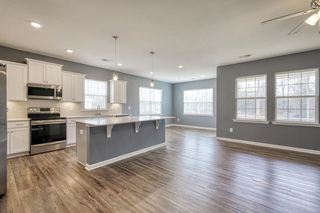 542 New Cut Meadows Road, Inman, SC 29349