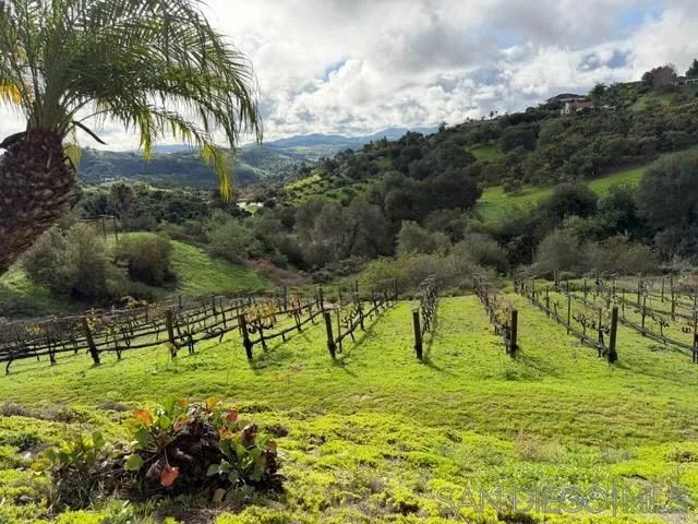 2635 Vista de Palomar, Fallbrook, CA 92028