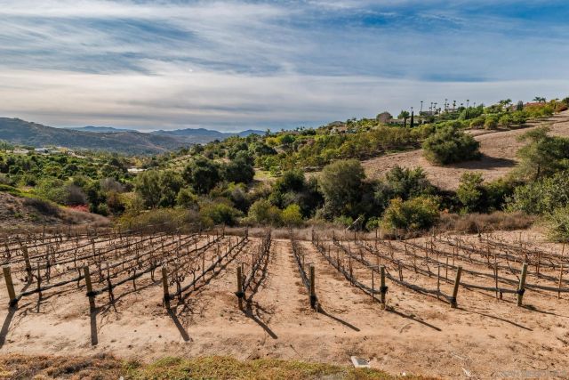 2635 Vista de Palomar, Fallbrook, CA 92028