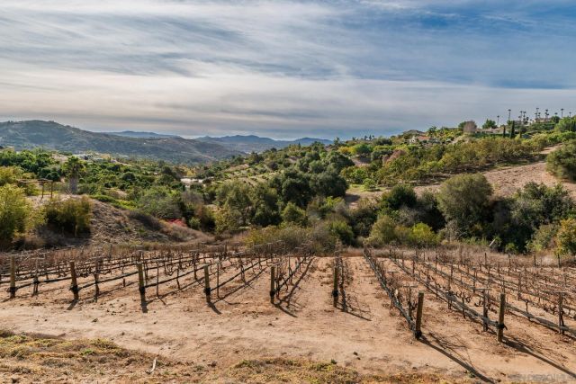 2635 Vista de Palomar, Fallbrook, CA 92028