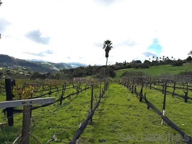 2635 Vista de Palomar, Fallbrook, CA 92028