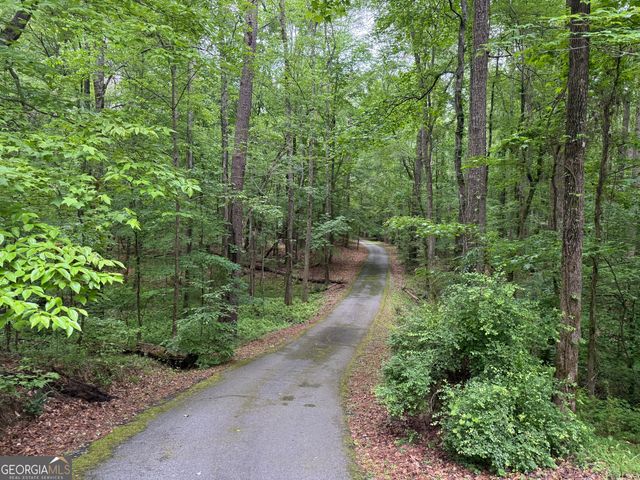 155 Thistle Lane, Fayetteville, GA 30215