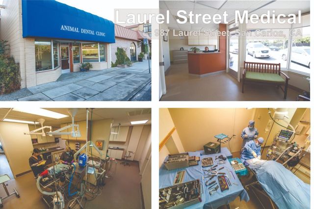 987 Laurel Street, San Carlos, CA 94070