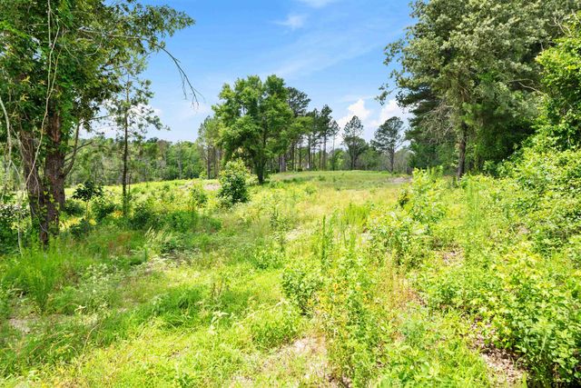 TBD Highway 31 E, Tyler, TX 75705