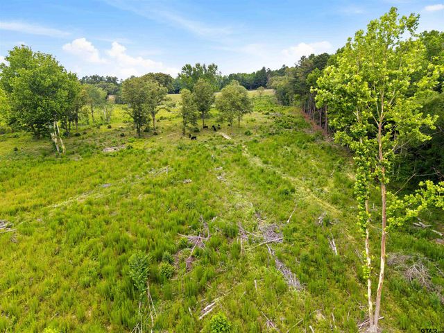 TBD Highway 31 E, Tyler, TX 75705