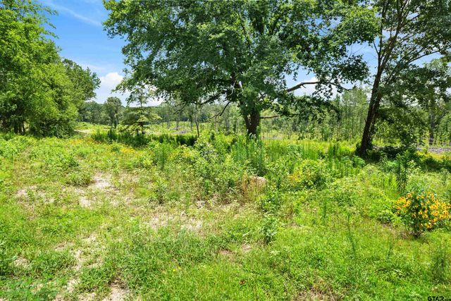 TBD Highway 31 E, Tyler, TX 75705