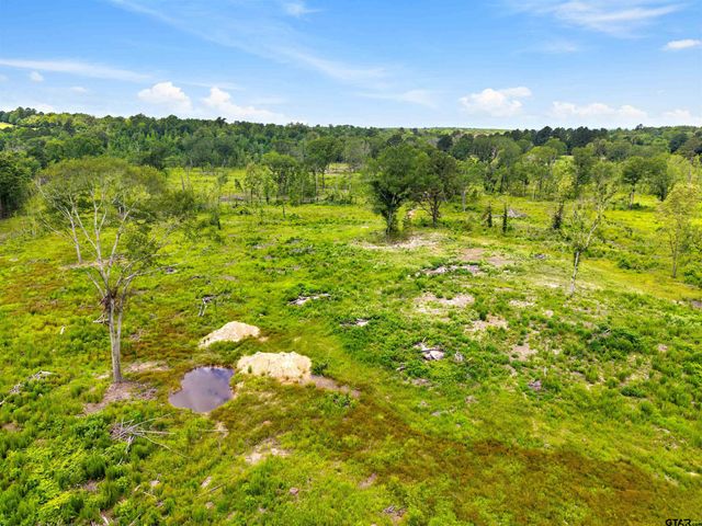 TBD Highway 31 E, Tyler, TX 75705
