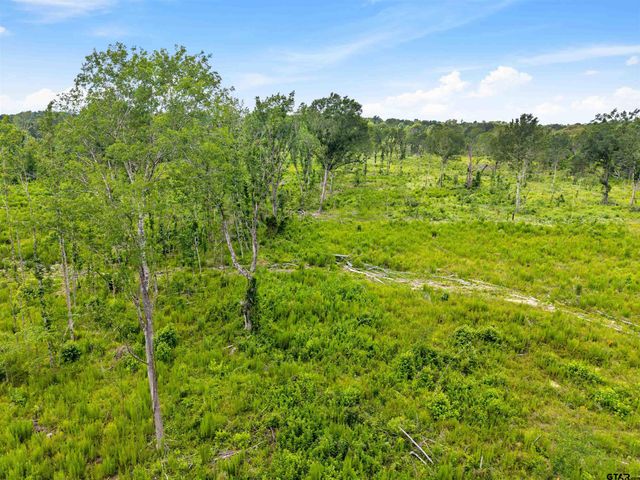 TBD Highway 31 E, Tyler, TX 75705