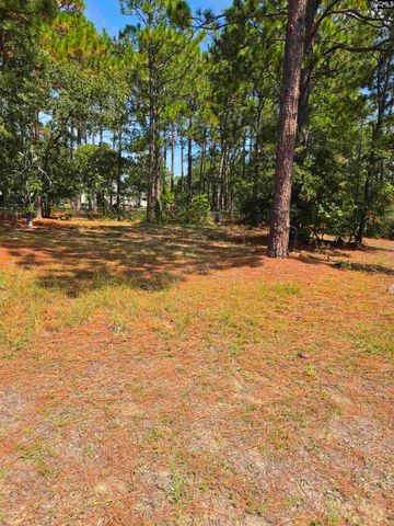 220 Branch Hill Drive, Elgin, SC 29045