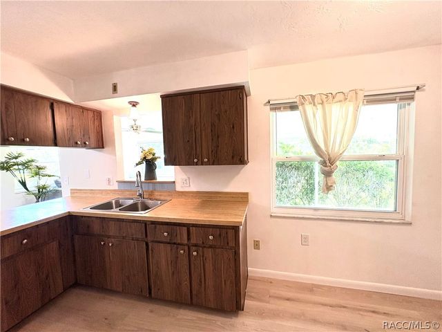 3123 N Maidencane Drive, Beverly Hills, FL 34465