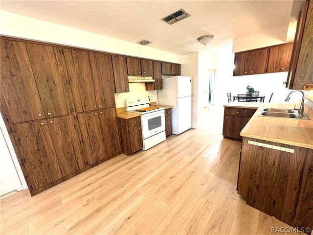 3123 N Maidencane Drive, Beverly Hills, FL 34465