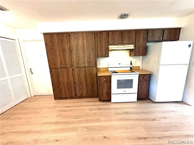 3123 N Maidencane Drive, Beverly Hills, FL 34465