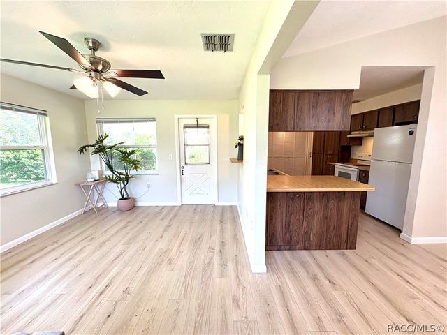 3123 N Maidencane Drive, Beverly Hills, FL 34465