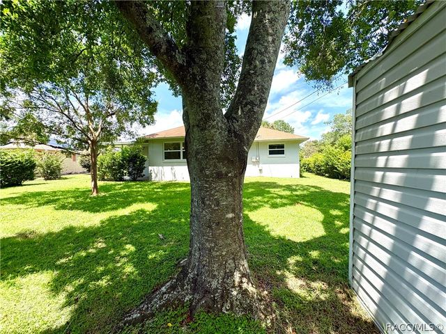 3123 N Maidencane Drive, Beverly Hills, FL 34465