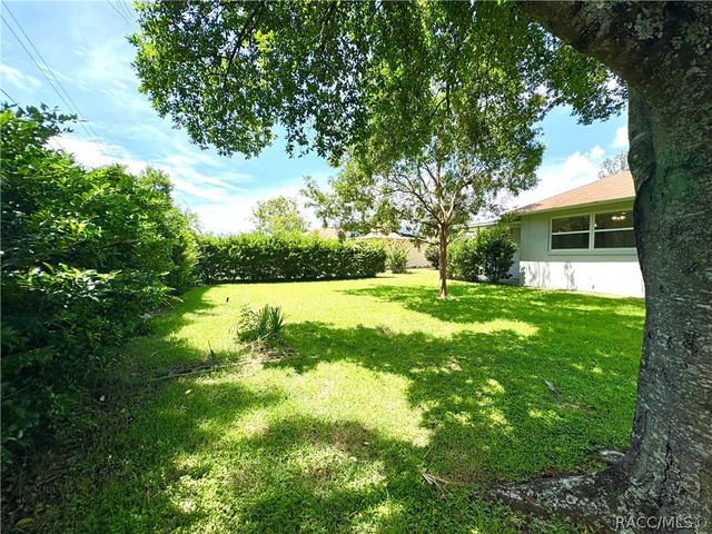 3123 N Maidencane Drive, Beverly Hills, FL 34465
