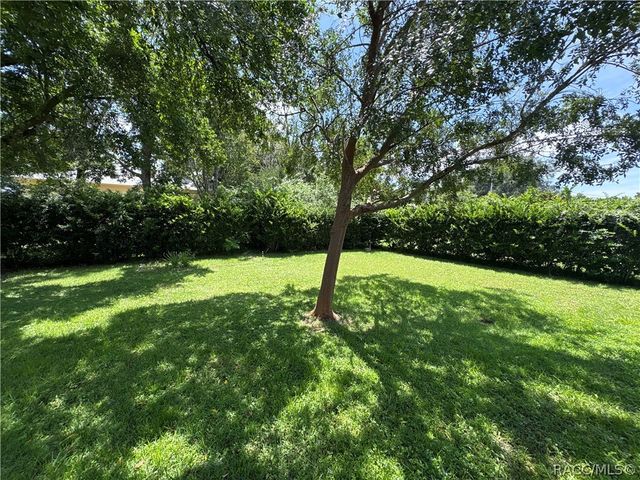 3123 N Maidencane Drive, Beverly Hills, FL 34465