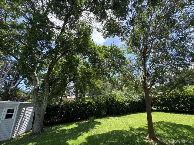3123 N Maidencane Drive, Beverly Hills, FL 34465