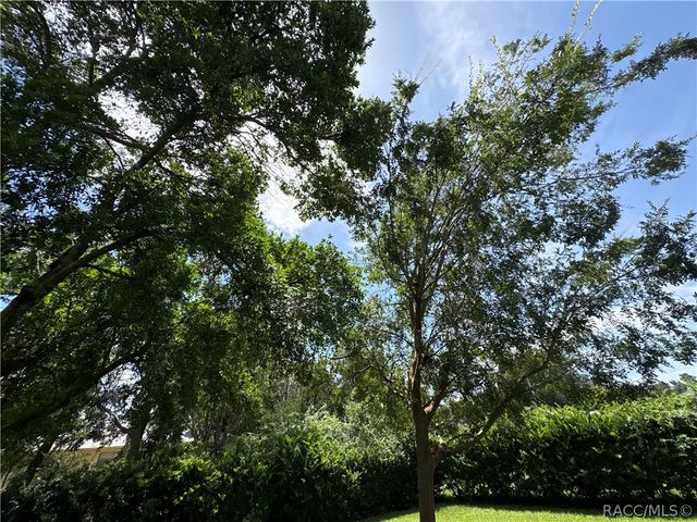 3123 N Maidencane Drive, Beverly Hills, FL 34465