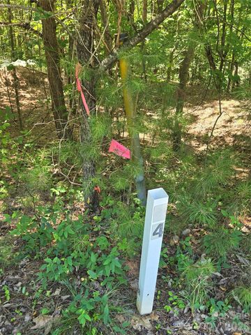 154 Oak Point Lane 3, Stony Point, NC 28678