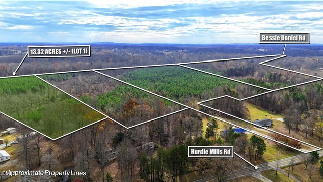 Lot 1 Hurdle Mills Road, Roxboro, NC 27574
