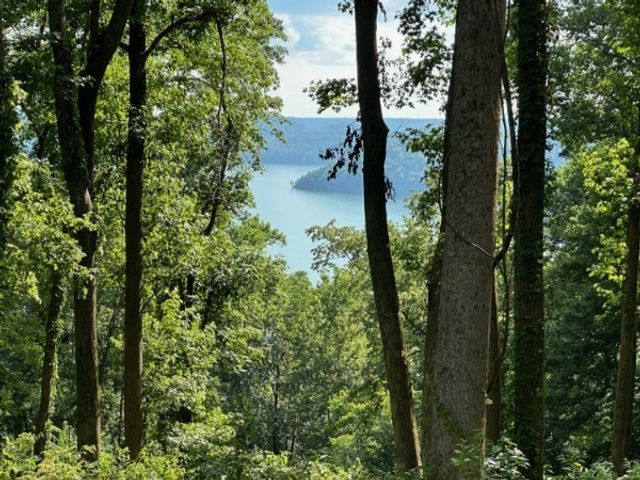 0 Back Ranch Dr, Silver Point, TN 38582
