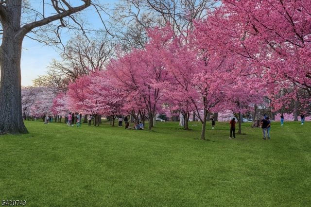 375 Mt Prospect Ave 6DW, Newark City, NJ 07104