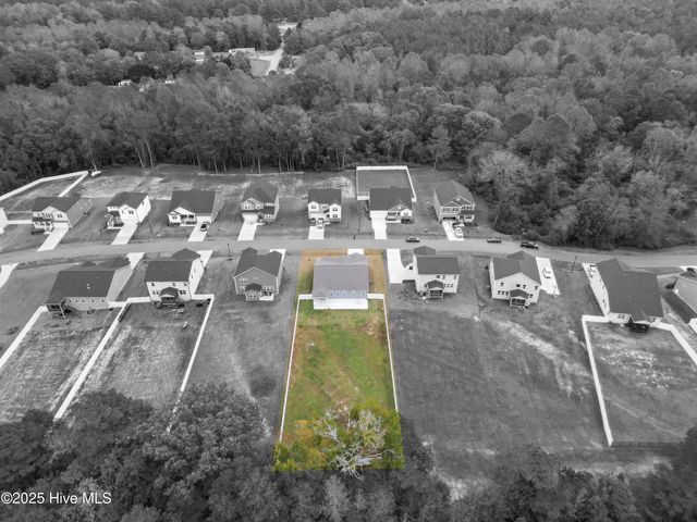 367 Fast Pitch Lane, Four Oaks, NC 27524