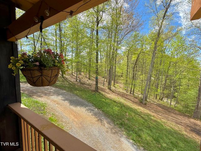 240 Joe Pye Lane, Greeneville, TN 37743