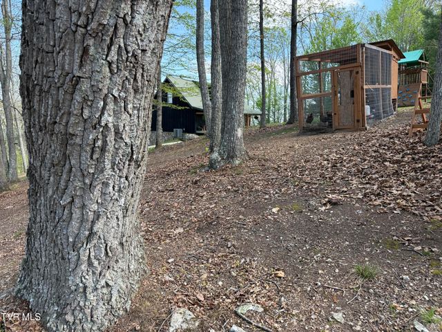240 Joe Pye Lane, Greeneville, TN 37743