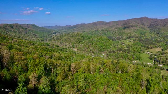240 Joe Pye Lane, Greeneville, TN 37743
