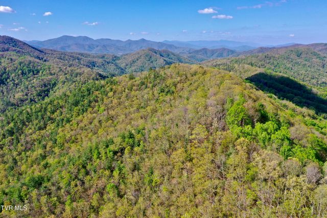 240 Joe Pye Lane, Greeneville, TN 37743