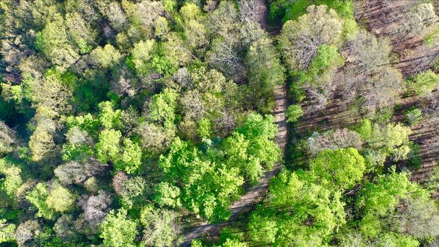 240 Joe Pye Lane, Greeneville, TN 37743