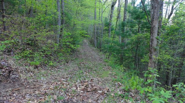240 Joe Pye Lane, Greeneville, TN 37743
