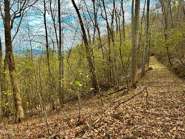 240 Joe Pye Lane, Greeneville, TN 37743