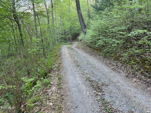 240 Joe Pye Lane, Greeneville, TN 37743