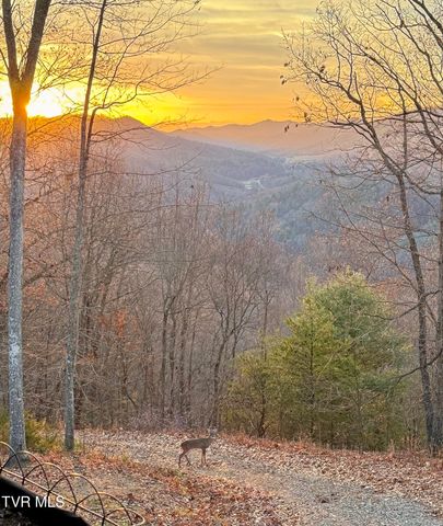 240 Joe Pye Lane, Greeneville, TN 37743