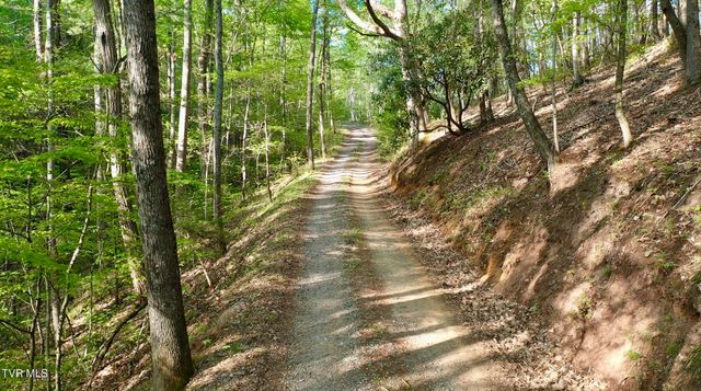 240 Joe Pye Lane, Greeneville, TN 37743