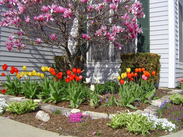 311 Briarwood Lane, Algonquin, IL 60102