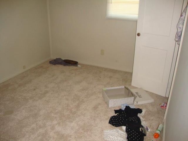 917 N Hickory Street, Owosso, MI 48867