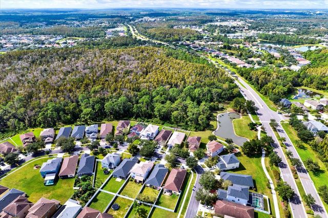 20118 BAY CEDAR AVENUE, Tampa, FL 33647