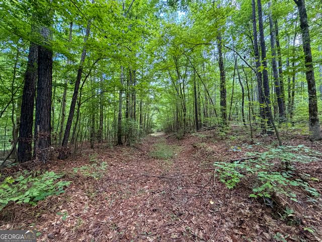 1503 McDonald Road, Covington, GA 30014
